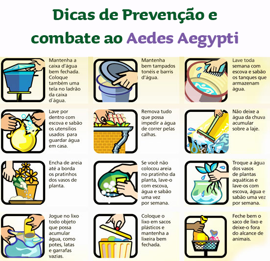 dengue-como-prevenir-10.1